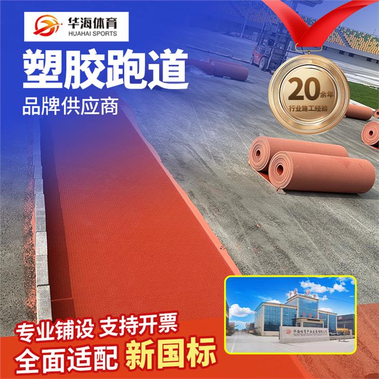 广元市半预制跑道半预制卷材 - 方案